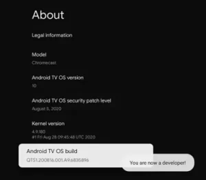 Device information screen displaying details such as model, Android TV OS version, security patch level, and kernel version.